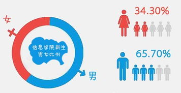 圖解信息學(xué)院2018級(jí)新生大數(shù)據(jù) 信息咨詢服務(wù)迎新篇